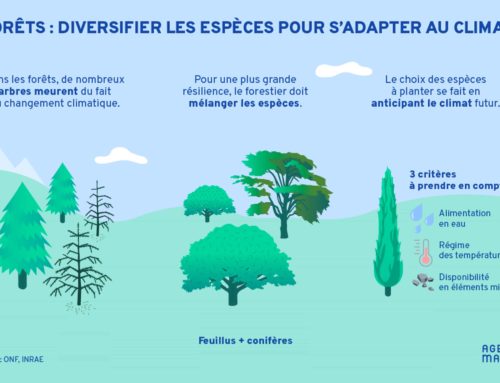 Graphical abstract : suivez le guide !