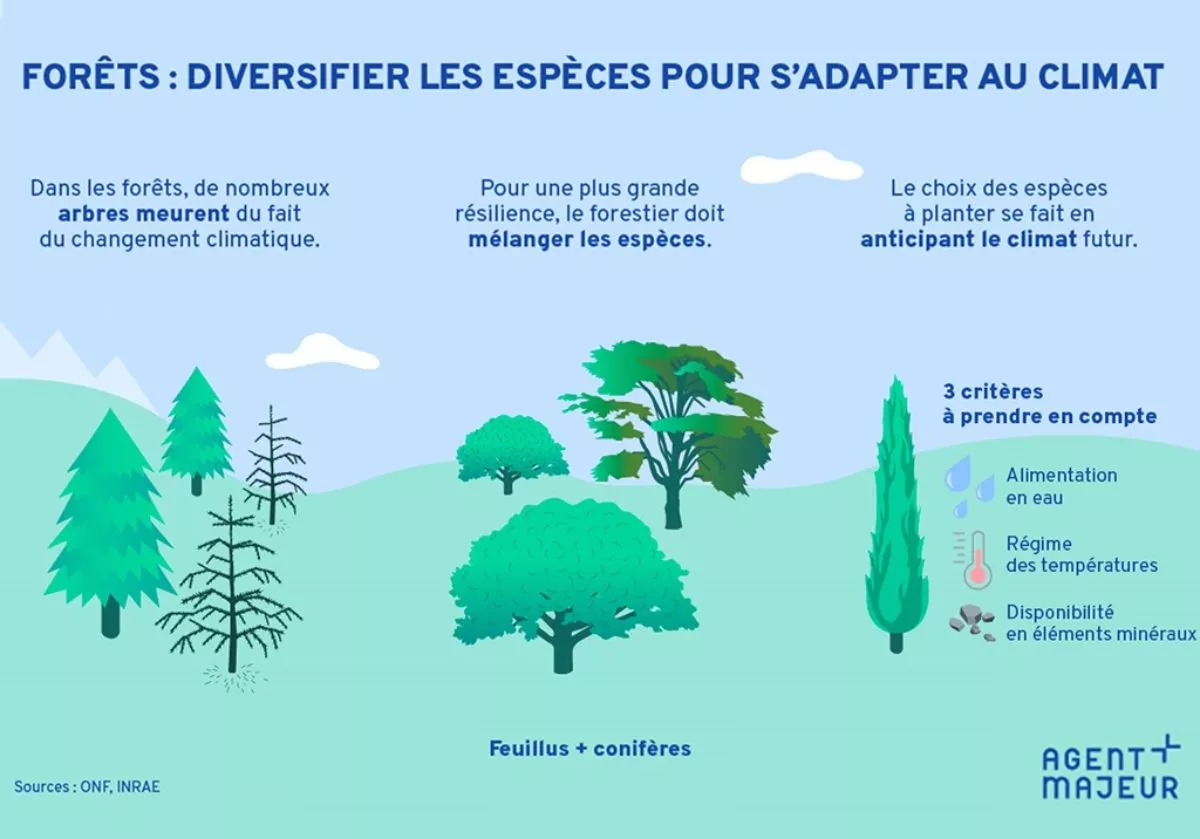 exemple de graphical abstract