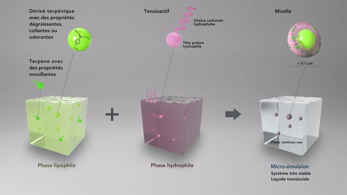 Illustration 3D de la microémulsion, une formulation qui permet d’optimiser les propriétés des terpènes.