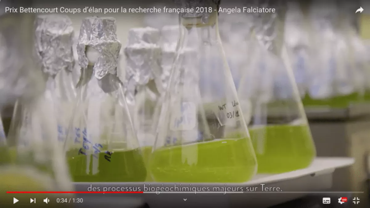 Vidéos de science