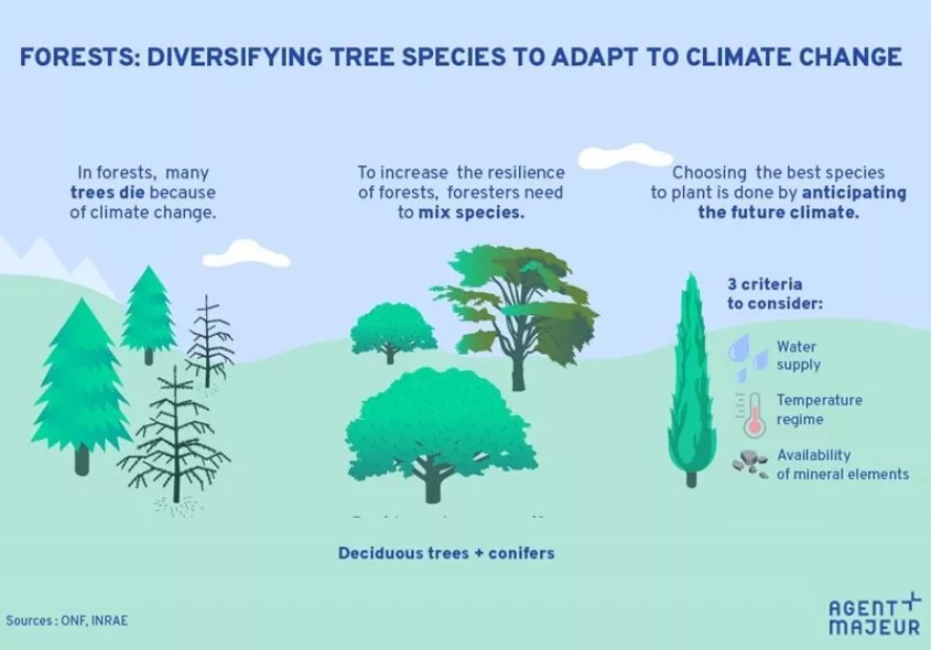 Graphical abstracts: a guide to visual summaries that work